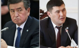 В ЖК вновь потребовали привлечь к ответственности Жээнбекова и Салиева
