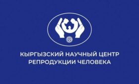 Депутат сообщила о массовых увольнениях в Кыргызском научном центре репродукции человека