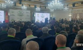 В Бишкеке и Оше пройдет агропромышленный форум “Агро-Диалог”