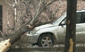Сильный ветер в Бишкеке и Чуйской области: в больницы обратились 24 человека
