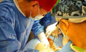В Кыргызстане провели 50 операций по пересадке почек