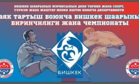 В Бишкеке пройдет чемпионат города по мас-рестлингу
