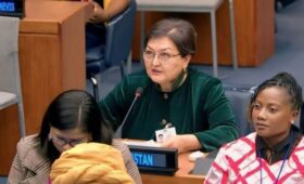 Министр труда Кыргызстана выступила на круглом столе ООН о финансовой поддержке гендерного равенства