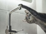 2 апреля в некоторых районах Бишкека не будет воды