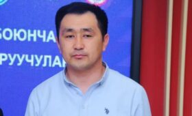 Абдурашит Жолчуев избран новым президентом Федерации кулатуу Кыргызстана