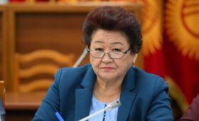 Депутат предложила создать отдельный орган по защите прав женщин и детей