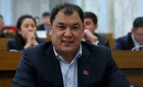 Депутат попросил не брать легионеров в национальные сборные команды