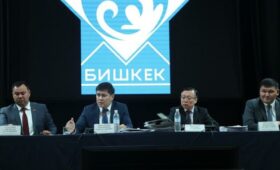 Отчет мэрии Бишкека о работе по земельной амнистии горкенеш решил рассмотреть на следующей сессии