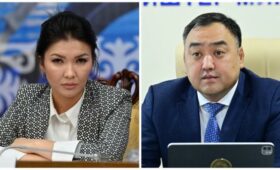 Депутат Айдарова просит президента рассмотреть соответствие занимаемой должности главы МВД