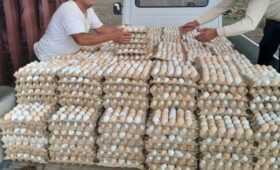 В Баткене были утилизированы 30 тысяч штук яиц