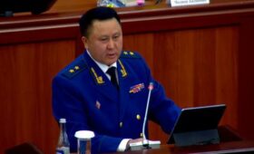 Два комитета ЖК приняли к сведению ежегодный отчет генерального прокурора 