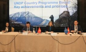 Замглавы МИД призвал ПРООН акцентировать свою деятельность на улучшении социальной сферы в Кыргызстане