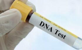 Депутат просит власти открыть лабораторию, где делают ДНК-тест 
