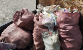 Жители Чуйской области в субботу собрали более 960 тонн мусора