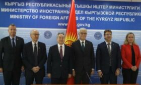 Глава МИД Кыргызстана встретился с делегацией Сената Франции