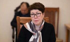 Депутат выступила за сокращение агитаторов кандидатов в депутаты ЖК