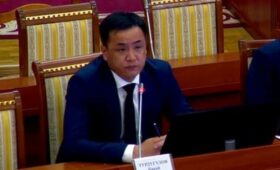 Депутат раскритиковал нового замглавы Госстроя Турдугулова за незнание о топосъемке