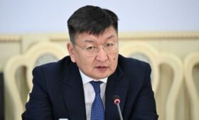 В Кабмине прошла встреча с руководителем Администрации президента Монголии