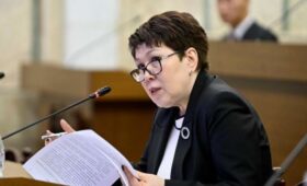 Фракция «Альянс» выдвинула кандидатуру Кожокуловой в состав Совета по делам правосудия 