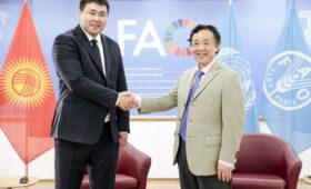 В Риме обсудили сотрудничество между ФАО и Кыргызстаном