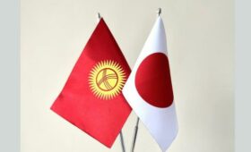 Парламент одобрил обменные ноты между Кыргызстаном и Японией об отмене визовых требований для владельцев диппаспортов
