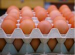 В Кыргызстане хотят ввести временный запрет на ввоз куриных яиц