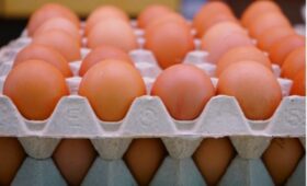 В Кыргызстане хотят ввести временный запрет на ввоз куриных яиц