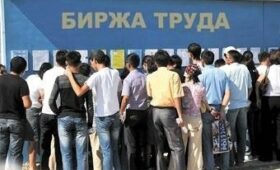 Рынок труда Кыргызстана по состоянию на 1 мая 2024 года