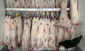 Кыргызстан начал поставки мяса баранины в Иран