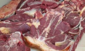 У жителя Кемина подозрение на сибирскую язву: Санэпиднадзор предупреждает не покупать мясо сомнительного качества