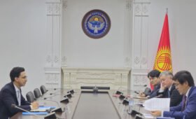 Замглавы Кабмина принял нового представителя ЮНИСЕФ в Кыргызстане