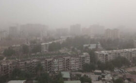 Как защитить лёгкие от городской пыли? Советы пульмонолога из Душанбе