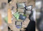 Железнодорожная таможня «Северная» пресекла попытку ввоза более 3,5 кг «марихуаны»