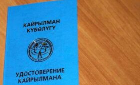 Около 70 тыс. кайрылманов за все время получили гражданство Кыргызстана