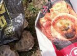 За незаконный улов черепах кыргызстанца оштрафовали на 20 тысяч сомов
