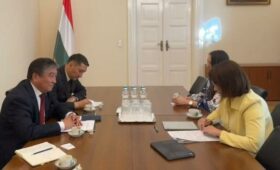 В Будапеште прошла встреча посла Кыргызстана с госсекретарем МИД Венгрии