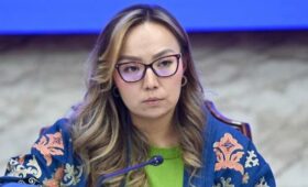 Депутат заявила, что руководитель организации, куда входит группа героев Апрельской революции, был судим за педофилию