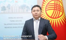 Мурзакматов и Маратов отказались от участия в выборах депутатов в Ноокатском и Иссык-Кульском округах