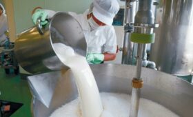 О ситуации в молочной отрасли Иссык-Кульской области