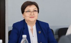 Депутат: Почему Гулнару Баатырову освободили от должности министра?