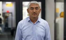 “В Бишкеке нужно прекратить практику хаотичной посадки деревьев”