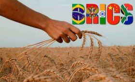 Страны БРИКС поддержали инициативу РФ по созданию зерновой биржи