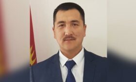 Азис Сапаралиев назначен исполняющим обязанности главы Минприроды