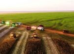 «Впервые в КР государство так поддерживает агропромышленный комплекс»