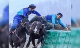 В рамках Всемирных игр кочевников в Астане будут проходить соревнования по кокпару и кок бору