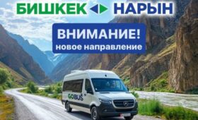 С GoBus можно доехать до Нарына (цена, расписание)