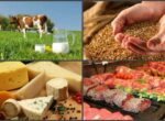 В Кыргызстане к 2040 году планируется перерабатывать 50% сельхозпродукции
