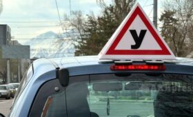 Депутат предложила ужесточить выдачу лицензий автошколам