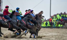 На Всемирных играх кочевников в Астане в көк бөрү будет использоваться муляж, – Федерация көк бөрү КР