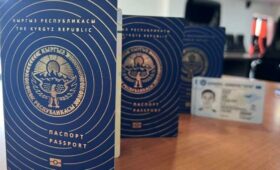 Гражданство КР: приобретение, прием, утрата, выход. Комитет ЖК рассмотрел предлагаемые новшества